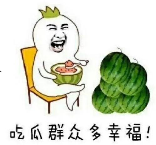 娱乐吃瓜专一